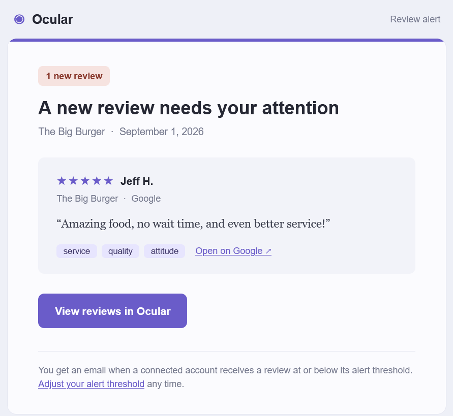 Ocular review alert email showing a new Google review with detected topic tags and a link to open it